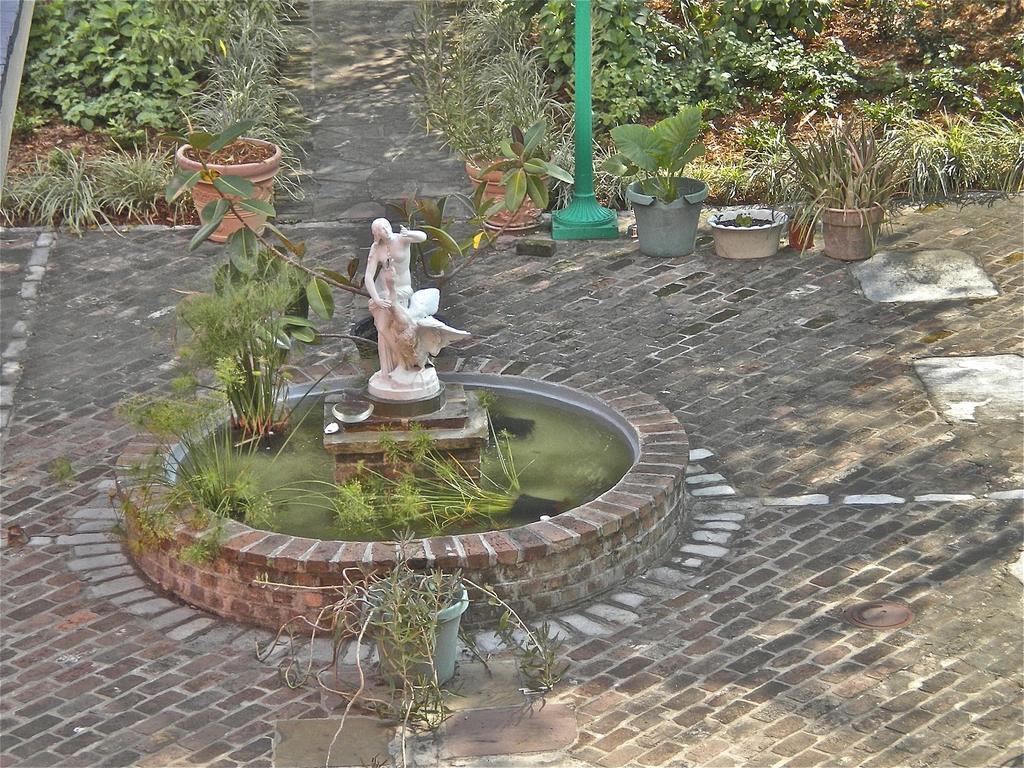 La Belle Esplanade Bed and Breakfast New Orleans Esterno foto